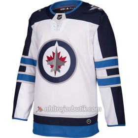 Män Ishockey Winnipeg Jets Tröja Blank Adidas Vit Authentic